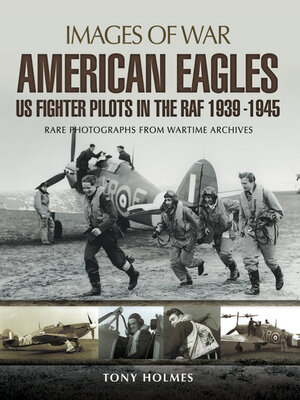 cover image of American Eagles